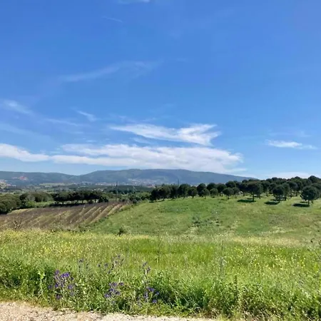 Villa In Casais De Santa Helena *