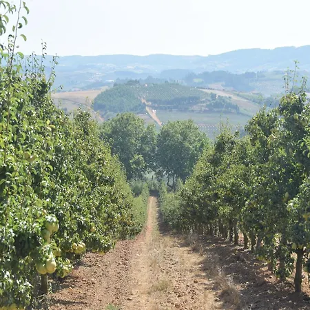 In Casais De Santa Helena Villa *