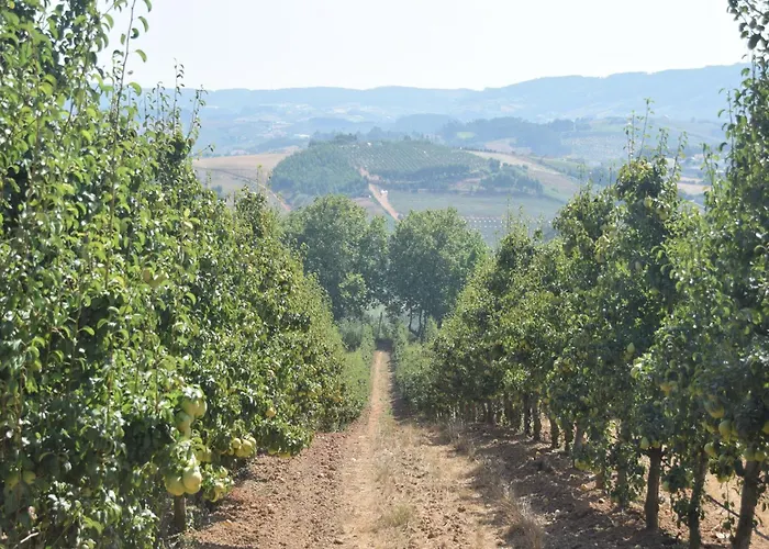 In Casais De Santa Helena Villa *